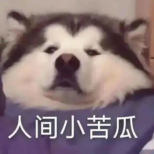  沙雕表情包