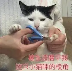 对不起我要向冬天嘲笑过的南方小伙伴郑重道歉