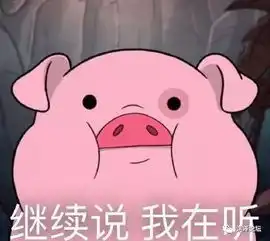  听说洪泽啪啪圈vip有超值福利,真的假的
