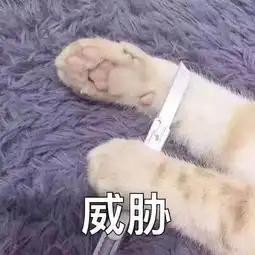  校会活动情报四级模考在路上