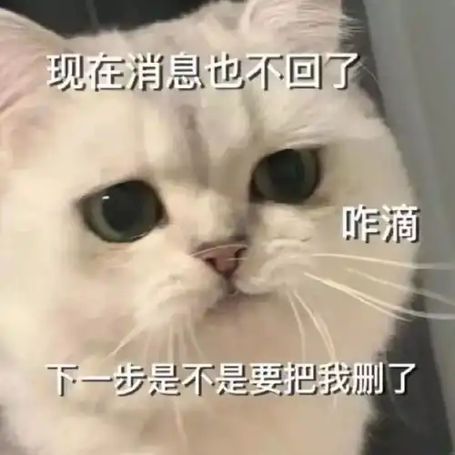  你这是什么话我不喜欢丨第842期喵表情包