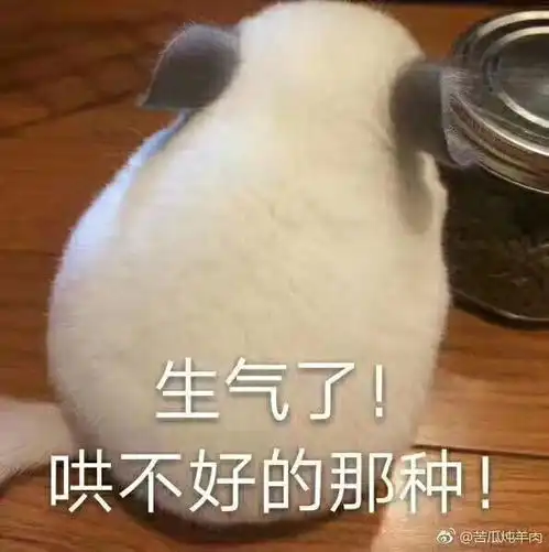  刚结完婚却和老公异地要怎么办