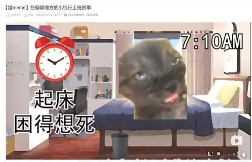 网红猫表情包自来熟