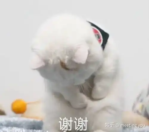  超好看的救赎类小说
