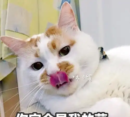  每日一笑对不起,我有男朋友了,话费我还你