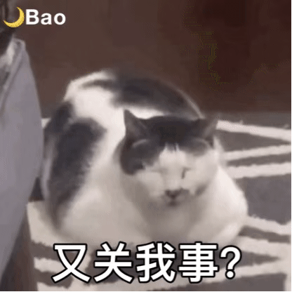  斗图专用表情包,谁都不如你行