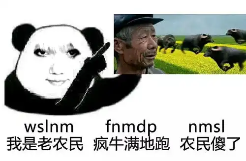  龙图的文化意义浅析