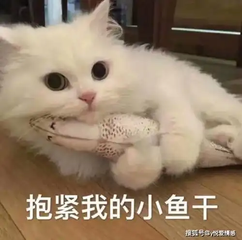  约会有一些约定俗成的潜规则,没人说破,但男生要懂