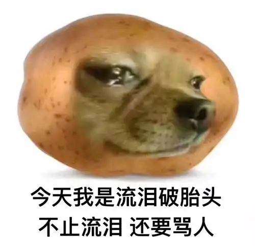  自信的丑女孩会受欢迎吗