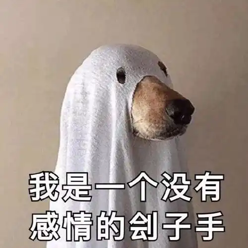  2020年统计学考研之路从复旦大学大数据学院统计学到中山大学应用统计