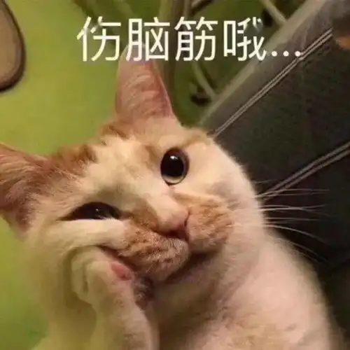  海关核查小白成长记