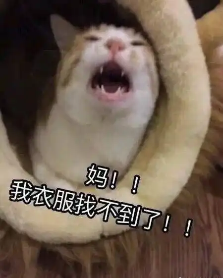  爸爸与妈妈的差别当爸爸单独在家看孩子时和妈妈带孩子,哈哈哈哈哈哈哈哈哈哈哈太硬核了吧