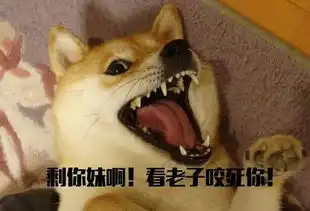 扁嘴伦表情包布鲁克