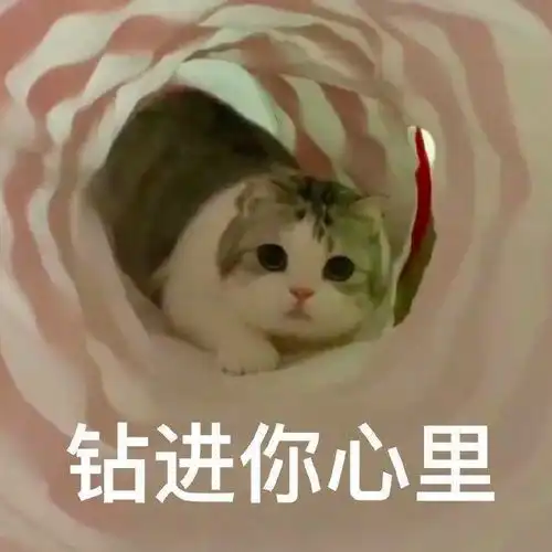  2021年7月12日早鸟报
