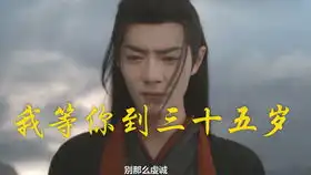 磕cp表情包博君一笑魏婴