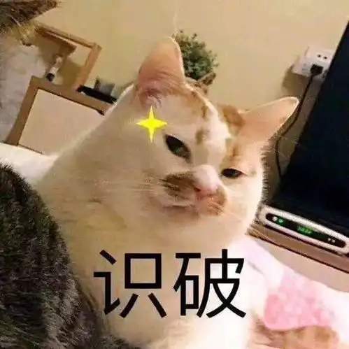  泪网红猫楼楼去世,我的表情包回到了汪星球...