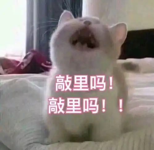  有哪些可爱的表情包
