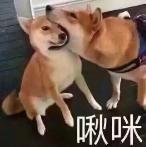  看出哪张是照片哪张是画算我输