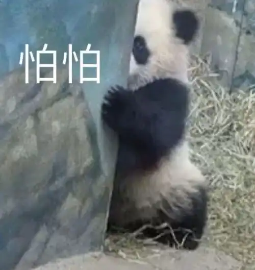  湿湿湿湿湿,广东人最怕的回南天要来了雨雾升温