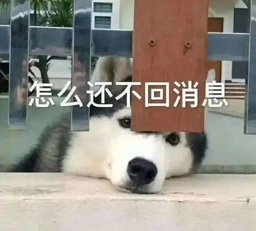  套路聊天表情包