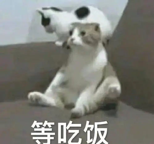 斗图专用表情包斗图专用