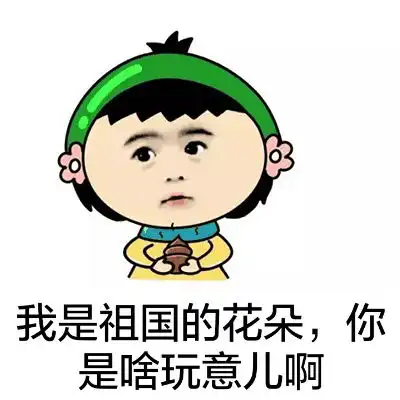 搞笑表情包我是祖国的花朵,你是啥玩意儿啊