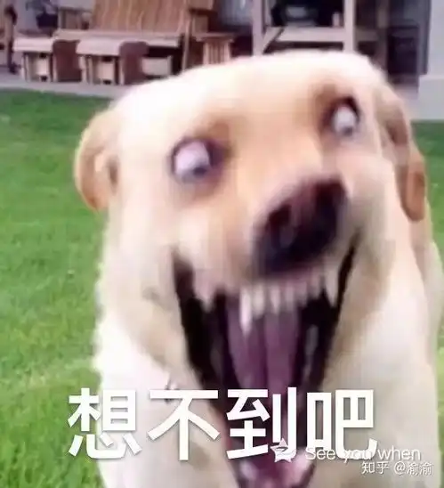 舔狗图片表情包神似