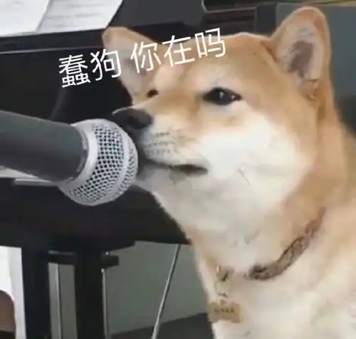  有哪些适合聊天时开头的表情包