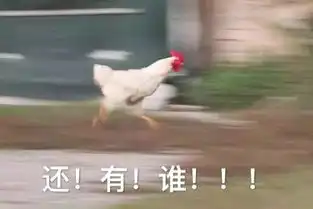  收好这套表情包你就是鸡年斗图之王