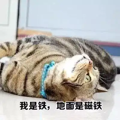  最有意思的表情包来了,这次我是认真的