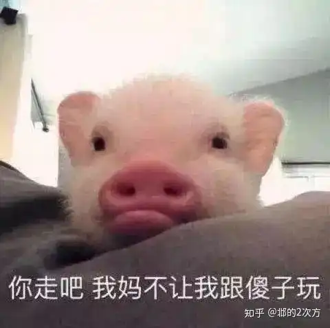  我是不是你最痛爱的猪,你为什么不说话