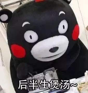  大寒还没过,海口的阳光就浪起来了