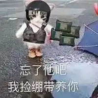  忘了他吧我开挖机养你头像