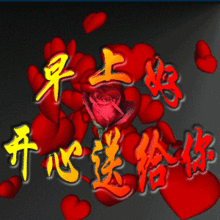  聊天表情图库太美了值得收藏