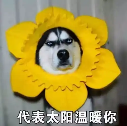 比心表情包恶搞晒伤妆