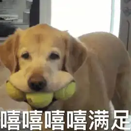 嘻嘻嘻贱笑的表情包舔包