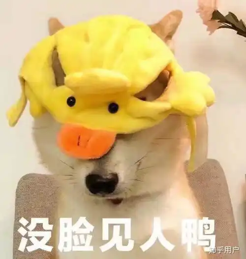  在福州外语外贸学院读书是种什么样的体验