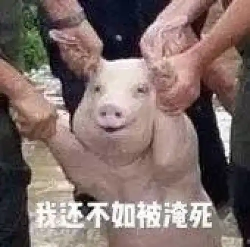  那只攻陷朋友圈的网红微笑猪,已经火到国外了