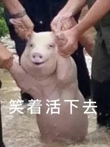  安比不行台风云雀打算常州c位出道,速看