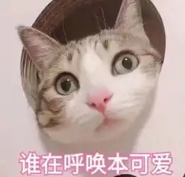  猫即将统治人类人为什么会吸猫上瘾