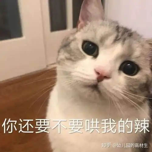  哥哥姐姐们,有没有适合撩男朋友女朋友的表情包