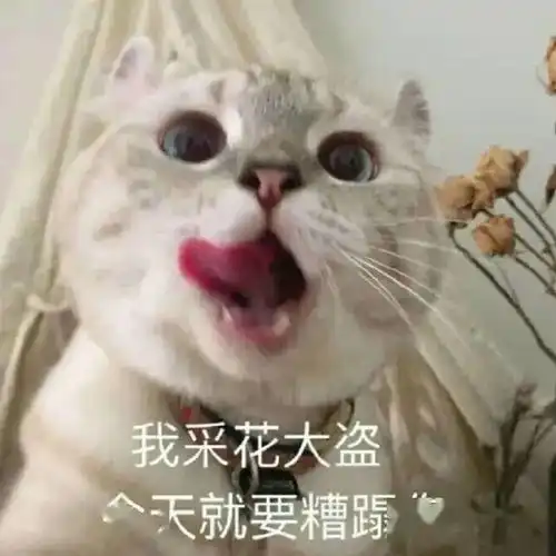  适合发给自己家狗子的表情包