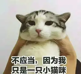 猫咪开心表情包快活