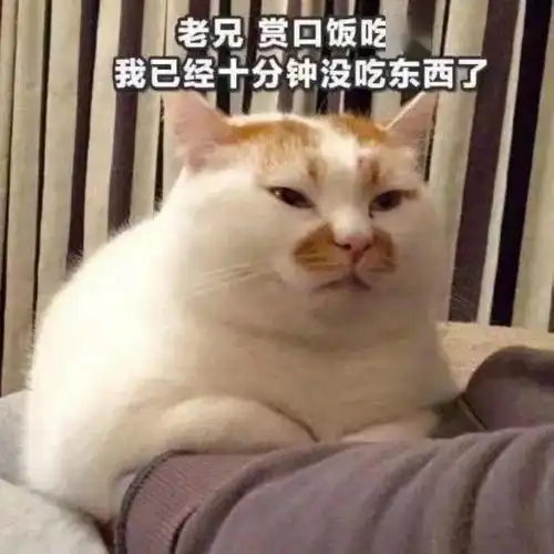  同志,你不要这样
