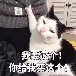  猫咪撒娇表情包你开枪吧,反正我的心早已死了搜狐搞笑搜狐网
