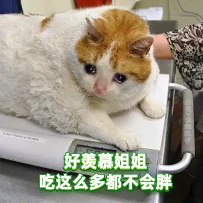  毛晓彤哭起来好像流泪猫猫头啊,可爱