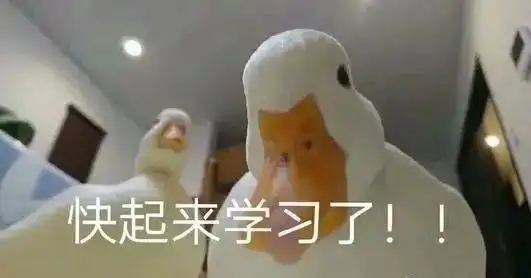  狗的口水变干后很难擦用这个