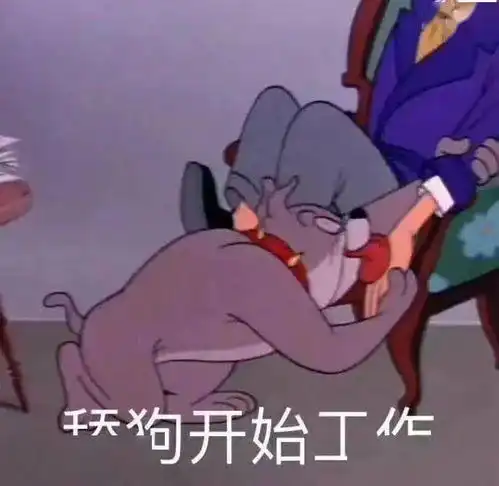  舔狗自述舔到最后,一无所有