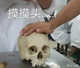  高校教师解剖学课展示颈椎表情包让课程通俗易懂