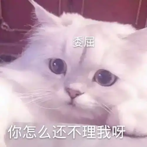  表情包有些人就是死皮不要脸